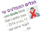 תמונה לצד התוצאות - לא עוד