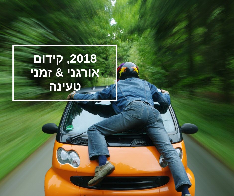 קידום אורגני מהירות טעינת אתר 2018